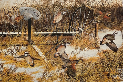 Donald Blakney Bob White Quail Farm Art Print 10 x 7