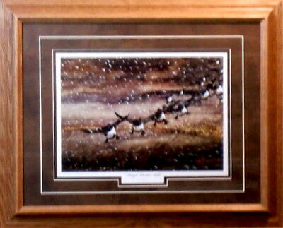 LES KOUBA -Rough Weather Bills Framed Bluebills Print 21 x 17