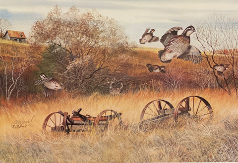 Golden Days by r.j. McDonald  S/N Bobwhite Quail with cert  24.5x16.5