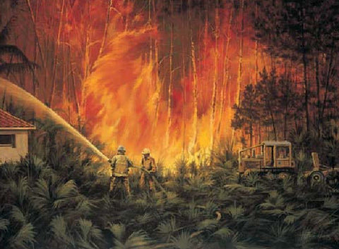Paco Young Through the flames S/N AP Fireman Art Print 21 x 15