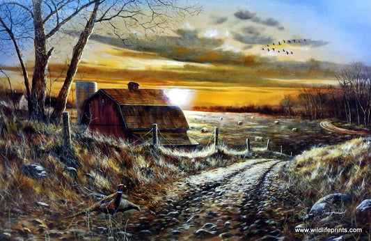 Jim Hansel A Road Less Traveled