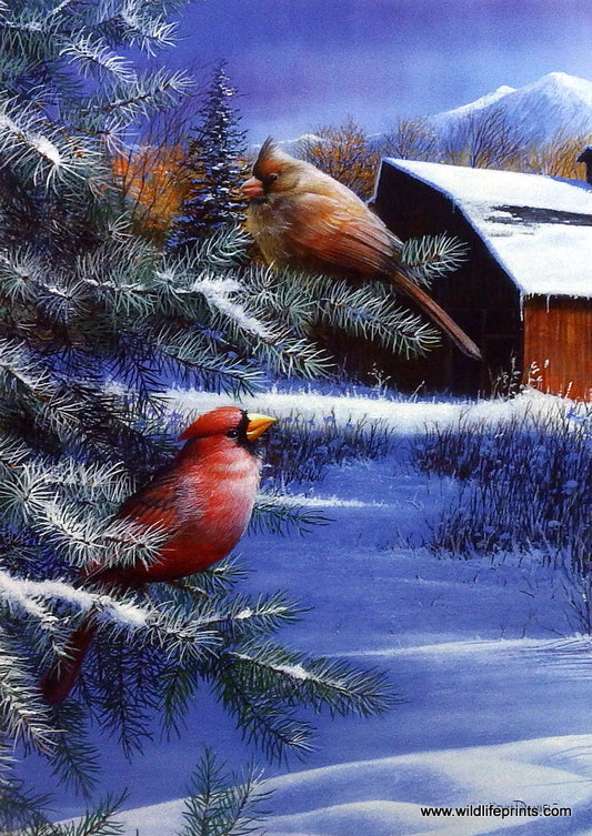 Kevin Daniel A Winter's Day