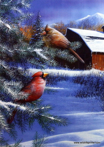 Kevin Daniel A Winter's Day