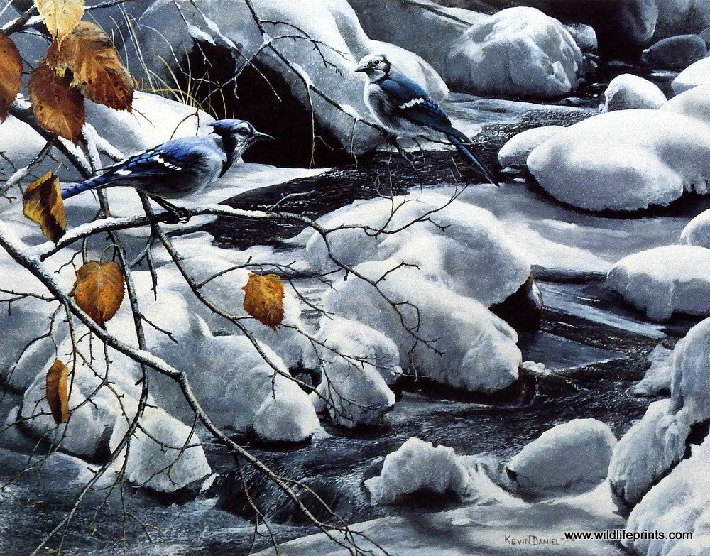 Kevin Daniel Adornment of Winter