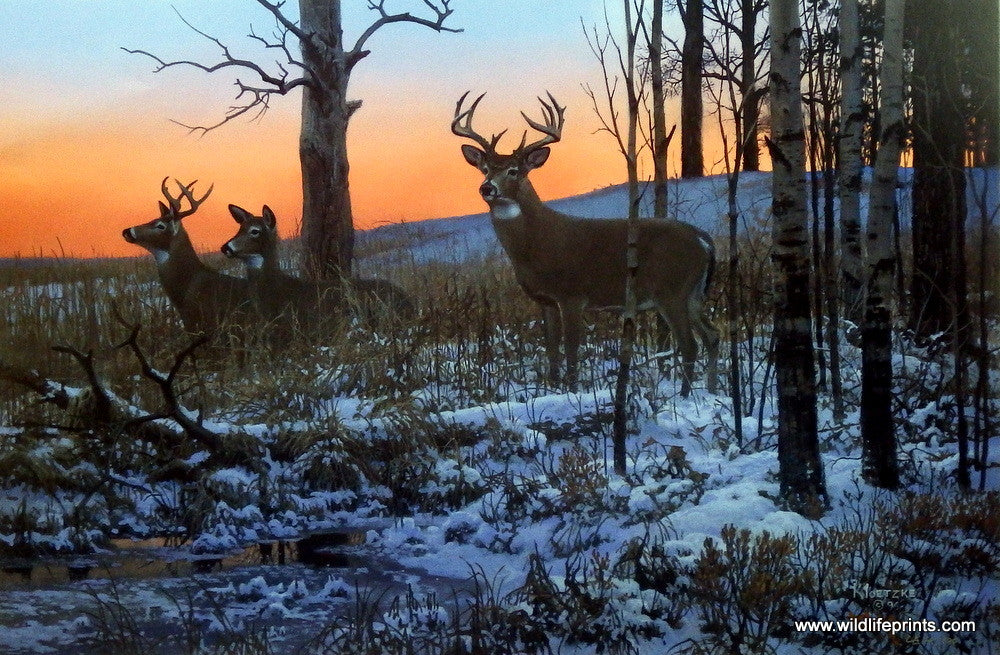 Whitetail Deer Print AFTER HOURS CLUB by artist Don Kloetzke