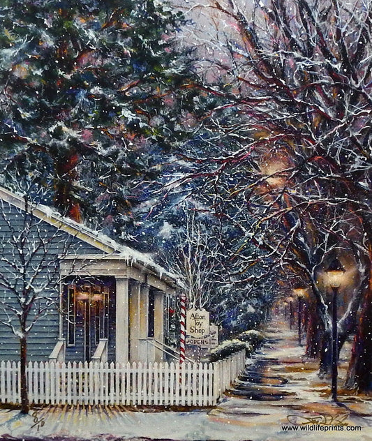 Susan Amidon Afton Toy Shop