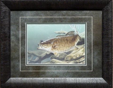 Smallmouth Bass By Al Agnew Framed Print