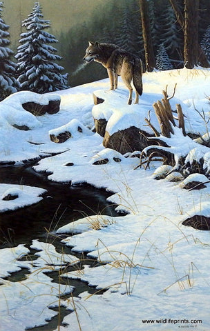 Michael Budden Ahead of the Pack
