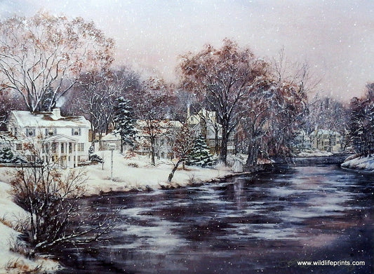 Susan Amidon Along Minnehaha Creek