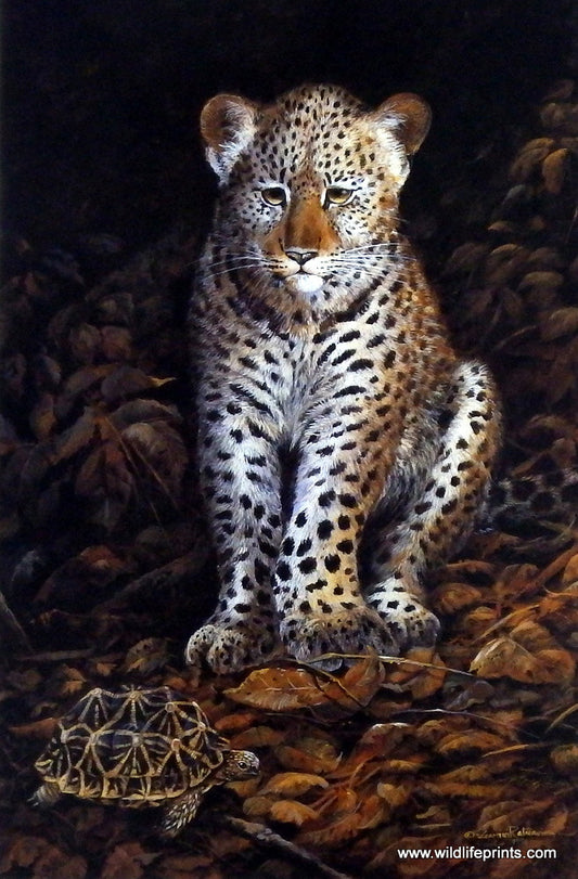 Gamini Ratnavira Amused
