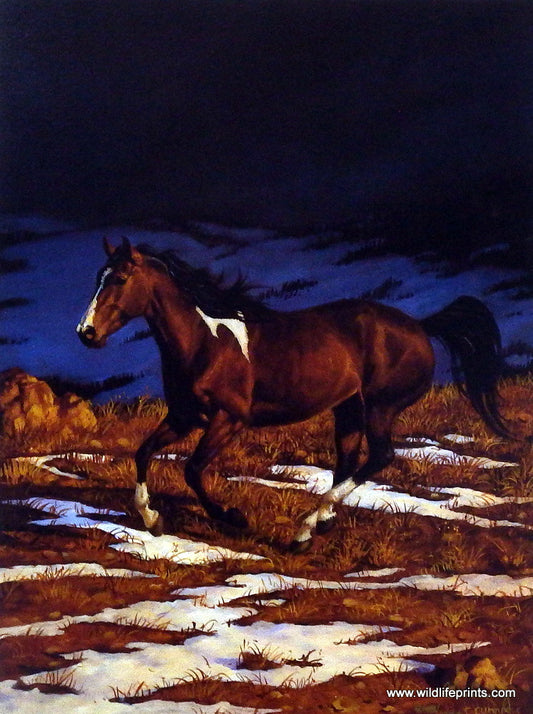 Chris Cummings Wild Horses Picture Approaching Storm