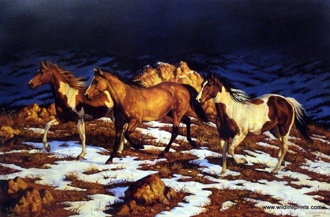 Chris Cummings Wild Horses Picture