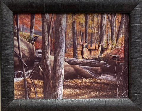 Kevin Daniel Autumn Alert Deer Doe Art Print-Framed