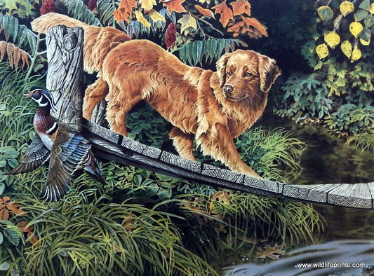 Jerry Gadamus Autumn Beckoning