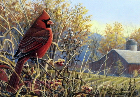 Tim Schultz Autumn Crimson