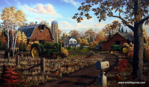Mark Daehlin Autumn Gold