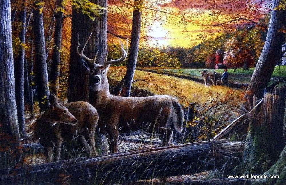 Kevin Daniel Autumn Harvest