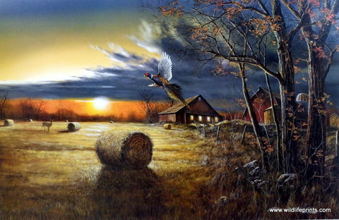 Jim Hansel Autumn Harvest