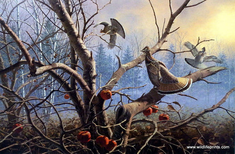 David Maass Autumn Orchard-Ruffed Grouse