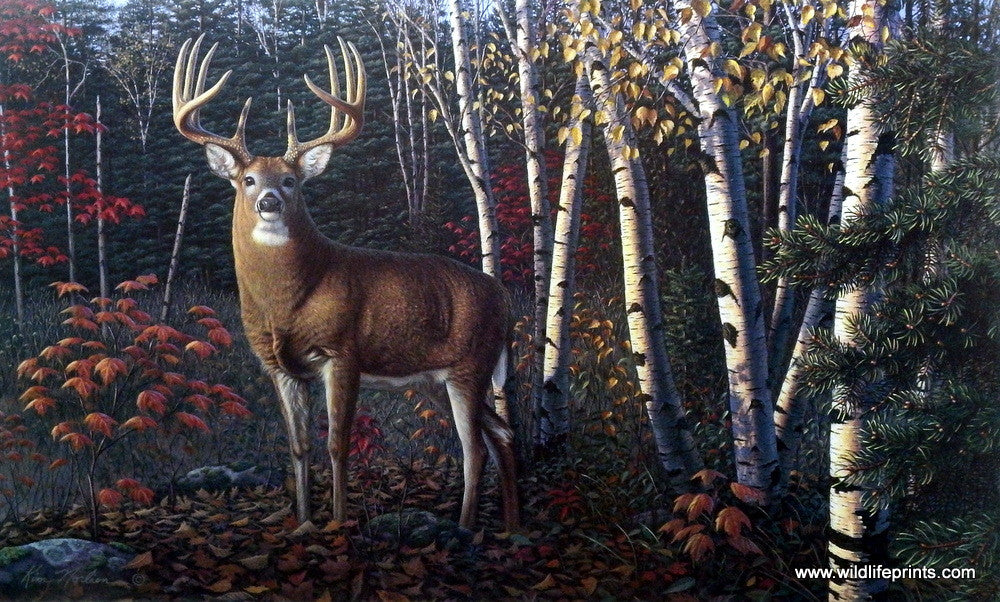 Kim Norlien Autumn Sentinel