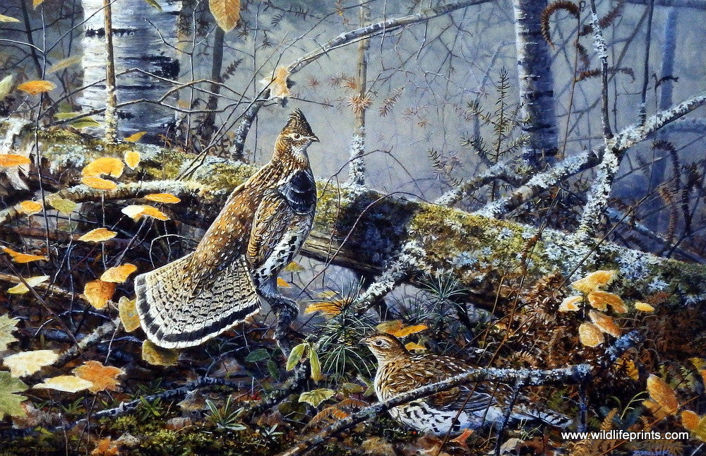 Scott Zoellick Autumn Solitude