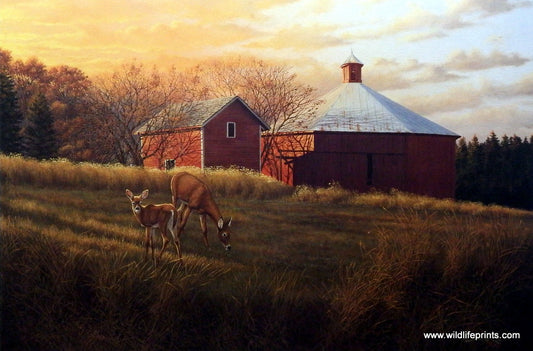 Derk Hansen Autumn Sunset