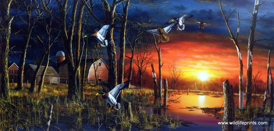Jim Hansel Autumn Visitors