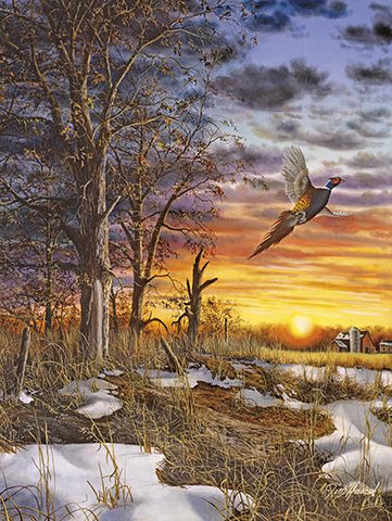 Jim Hansel Autumn Ringneck Pheasant Farm art Print