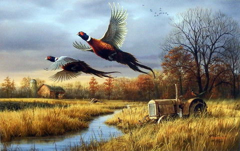 James Hautman Back Forty Pheasants