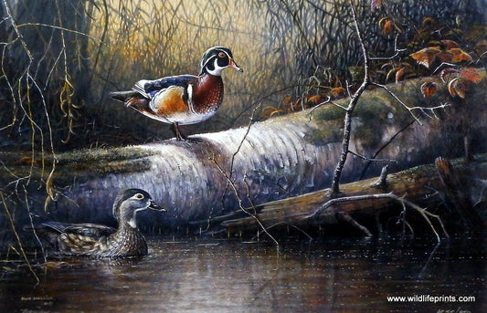 Scott Zoellick Back Water Refuge