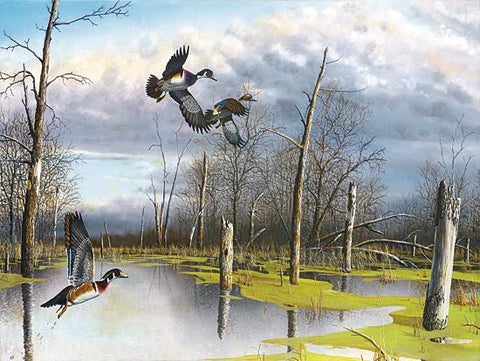 Jim Hansel Backwater Woodies Duck Art Print