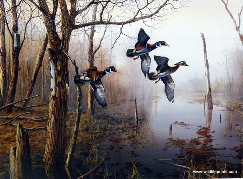 Jim Hansel Backwater