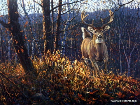 Bruce Miller Whitetail Buck Deer Art Painting Print BACKWOODS RUNNER