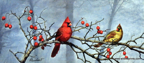 Richard Plasschaert Backyard Visitors