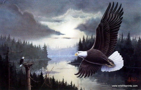 Les Kouba Bald Eagle Homestead