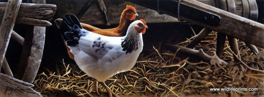 Jerry Gadamus Barnyard Buddies