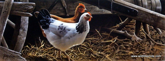 Jerry Gadamus Barnyard Buddies