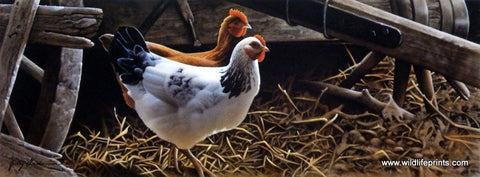 Jerry Gadamus Barnyard Buddies