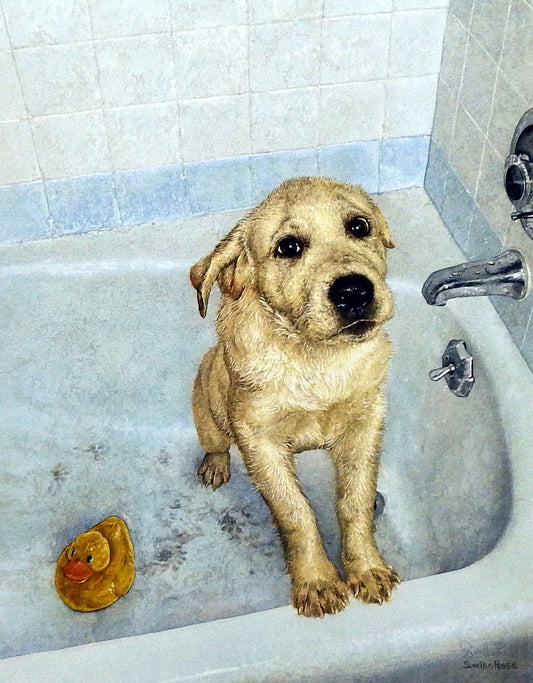 Sueellen Ross Bathtime Blues