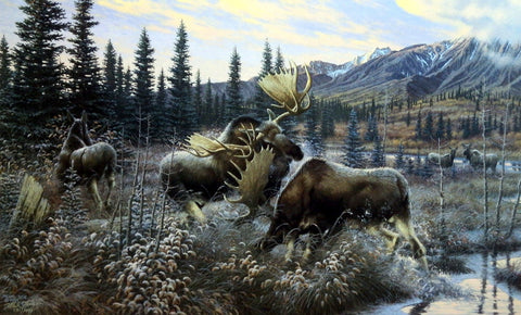 Michael Sieve Battling Bulls- Moose