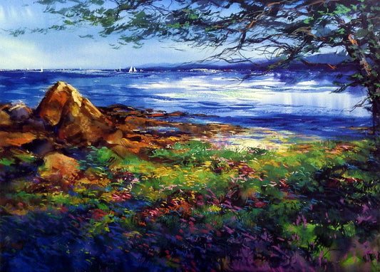 Michael Schofield Bay View