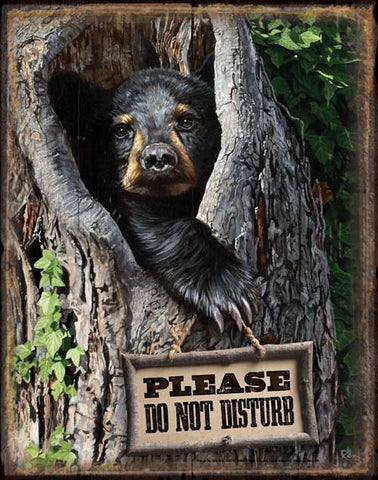 Please Do Not Disturb Tin Sign