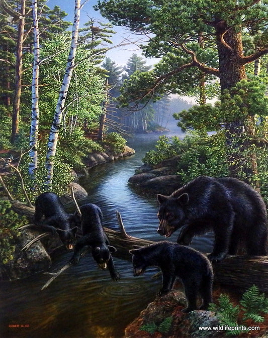 James Meger Bear Pause