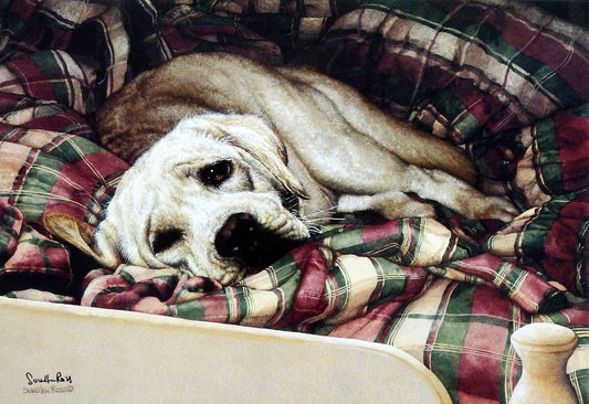 Sueellen Ross Bed Warmer