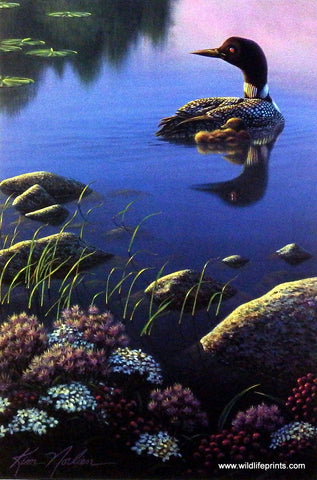 Kim Norlien Beyond Still Waters