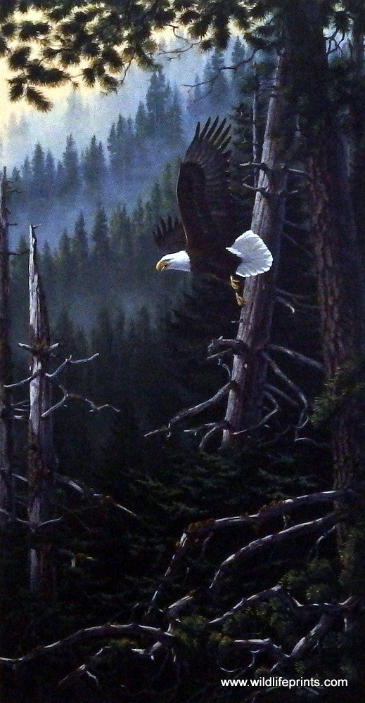Derk Hansen Beyond The Forest