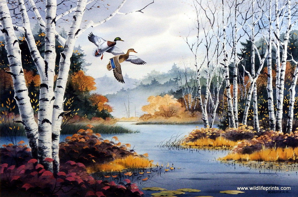 Jerry Raedeke Birch Bay