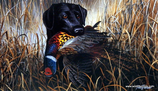 Jim Hansel Bird Season