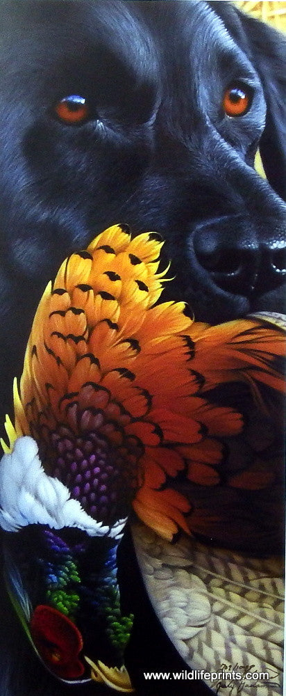 Jerry Gadamus Black Beauty