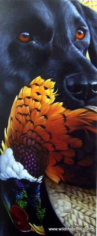 Jerry Gadamus Black Beauty